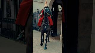 Royal Guard Horse SPOOKED amp taken back in  Horse Guards Royal guard Kings Guard Horse London [upl. by Oira]