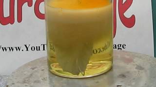 Make Silver Nitrate From Silver and Nitric Acid [upl. by Alina]