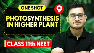 PHOTOSYNTHESIS IN HIGHER PLANTS  Complete Chapter in One Video  ConceptsPYQs  Class 11th NEET [upl. by Essila475]