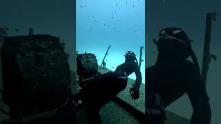 Freediving a shipwreck [upl. by Knight]