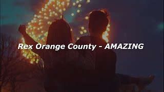 Rex Orange County  AMAZING Lyrics [upl. by Gary]