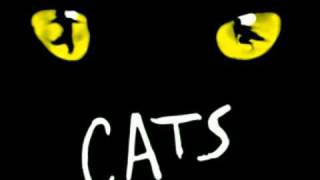 Cats  Musical versione italiana 19Viaggio verso il Dolce Aldilà [upl. by Raul719]