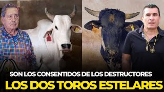 LOS DOS TOROS CONSENTIDOS DE LA AFICIÓN QUE SIGUE A LOS DESTRUCTORES [upl. by Borgeson]