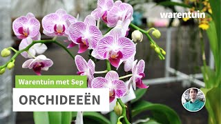 Alles over Orchideeën [upl. by Tonia]