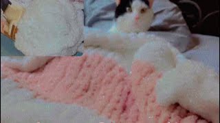 EASY Chunky Yarn Blanket Tutorial Hand Knitting For Beginners crafttutorial [upl. by Pricilla]