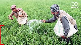 Indiscriminate Use Of Chemical Fertilisers Puts Humans Land At Risk [upl. by Asusej]