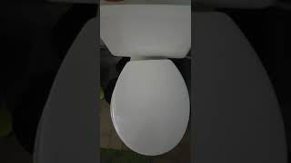 Bruit son chasse deau toilette wc [upl. by Osman]