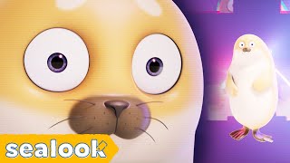 Seal Dancing to the Ultimate Bop  SEALOOK  EP117 [upl. by Eiramanig]