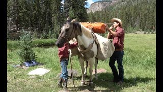 How to Load a Packhorse [upl. by Tsui]