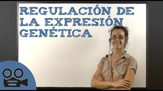 Regulación de la expresión genética [upl. by Staw]