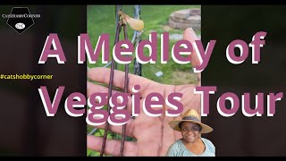 A Melody of Veggies  catshobbycorner [upl. by Filberte388]