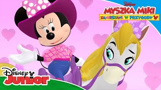 💖 Ulubione piosenki Minnie  Myszka Miki Zamieszani w przygody  Disney Junior Polska [upl. by Nolte]