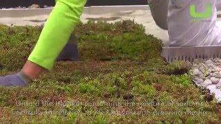 Urbanscape Green Roof Instalation ENG [upl. by Jerman205]