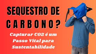 O que é Sequestro de Carbono Desafios e soluções emergentes [upl. by Nilson]