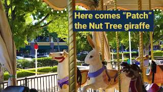 National Merry Go Round Day  Nut Tree Carousel  Vacaville CA [upl. by Pokorny]