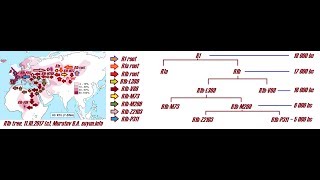 PaleoDNA A00 amp A hgs IndoEuropeans Villabruna Expedition to Kamchatka3 2017VIII21 [upl. by Bannister708]