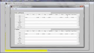 Conduct a Moderating Effects Analysis in WarpPLS [upl. by Siugram]