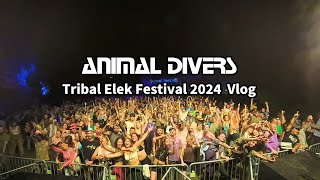 Animal Divers  Tribal Elek Festival Vlog Nantes France [upl. by Dorthy557]