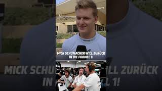 Schumacher zurück in die Formel 1？ schumacher formel1 shorts [upl. by Yanffit408]