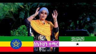 Sahra Ilays ስኬትህን ተማር  Somaliland Guushaada Daadihi Official Video 2024 [upl. by Leahcimrej94]