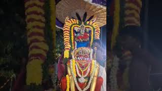 Sembakkam sri Bala Tripurasundari Navaratri 2nd say Dharsan [upl. by High]