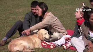 Zooterapia animales que restauran alma vida y corazón de los humanos [upl. by Latimer]