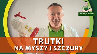 Trutki na myszy i szczury  Z PLANTĄ W OGRODZIE [upl. by Reginnej]