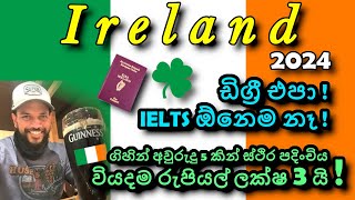 අයර්ලන්තයේ රැකියා වීසා 2024 Ireland work visa  General Employment Permit  Work permit [upl. by Firehs]