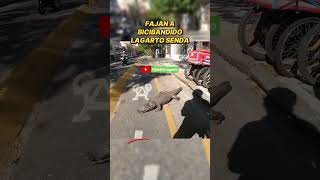 LAGARTO ATACA A BICIBANDIDO EN LA LagartoSenda [upl. by Madriene866]