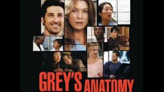 Greys Anatomy Soundtrack Vol 110Medeski Martin WoodEnd of the world Party [upl. by Yniatirb]