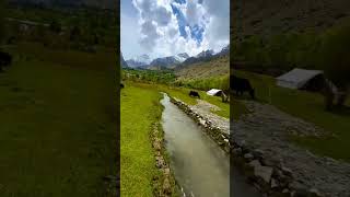 Lush Green Landscapes Flowing Streams Snowy Peaks and a Cow’s Leap – A Drone Adventure [upl. by Radford]