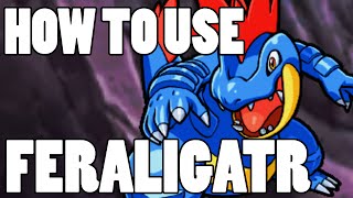 How To Use Feraligatr OP Feraligatr Strategy Guide ORAS  XY [upl. by Nelleyram900]