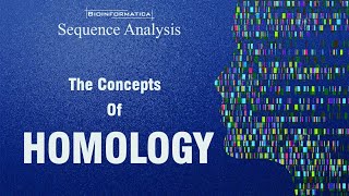 The concepts of Homology  HOMOLOGS ANALOGS ORTHOLOGS PARALOGS XENOLOGS HOMEOLOGS [upl. by Anom801]