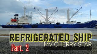 Reefer Cargo  MV CHERRY STAR Part 2 [upl. by Hilar]