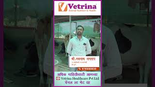 वासरं वयाने नाही तर वजनाने वयात येतात shorts shortsyoutube vetrinahealthcare [upl. by Amehsyt451]