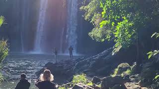 Whangarei Falls [upl. by Idnerb]