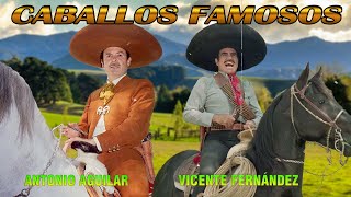 🐴 Corridos de Caballos 🐴 Vicente Fernández vs Antonio Aguilar 🐴 Mix Puros Corridos de Caballos [upl. by Hnid]