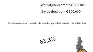 Schadevergoeding bij verzekering [upl. by Ycnan149]