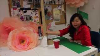 DIY Giant Free Standing Tissue Paper Flowers [upl. by Itnahsa]