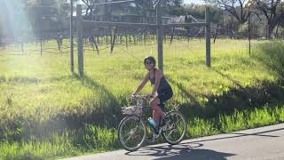 riding through healdsburg [upl. by Thomson]