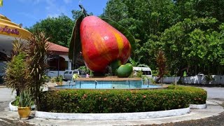 Be aware of The cashew nut factory  Phuket phuket thailand [upl. by Eugenle]