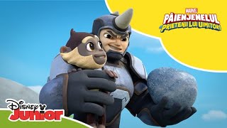 🐒 Trucuri  Păienjenelul Marvel și prietenii lui uimitori  Disney Junior România [upl. by Aryan953]