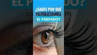 ¿Sabes por qué Palpita o Tiembla el Párpado ¿Es peligroso para la salud [upl. by Honoria196]