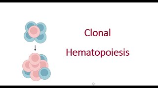 Clonal Hematopoiesis [upl. by Delphina229]