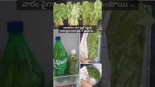 How to store leafy vegetables in the fridgebest way to store leafy greens in the fridge shorts [upl. by Htiekram]