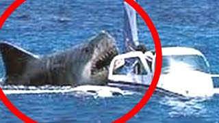 10 megalodon caught on camera and spotted in real life [upl. by Enilrek555]