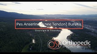 Pes Anserine Knee Tendon Bursitis [upl. by Aekerly]