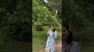 mccluskieganj jharkhand jharkhandtourism india incredibleindia tour travel ytshorts shorts [upl. by Amedeo]