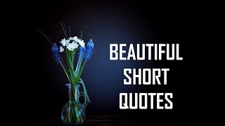 Beautiful Short Quotes  Life Lessons [upl. by Bell]