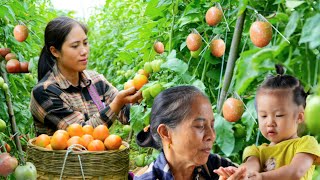 Harvesting and preserving tomatoes The secret to preserving fresh flavor in tomato sauce [upl. by Suiramad]